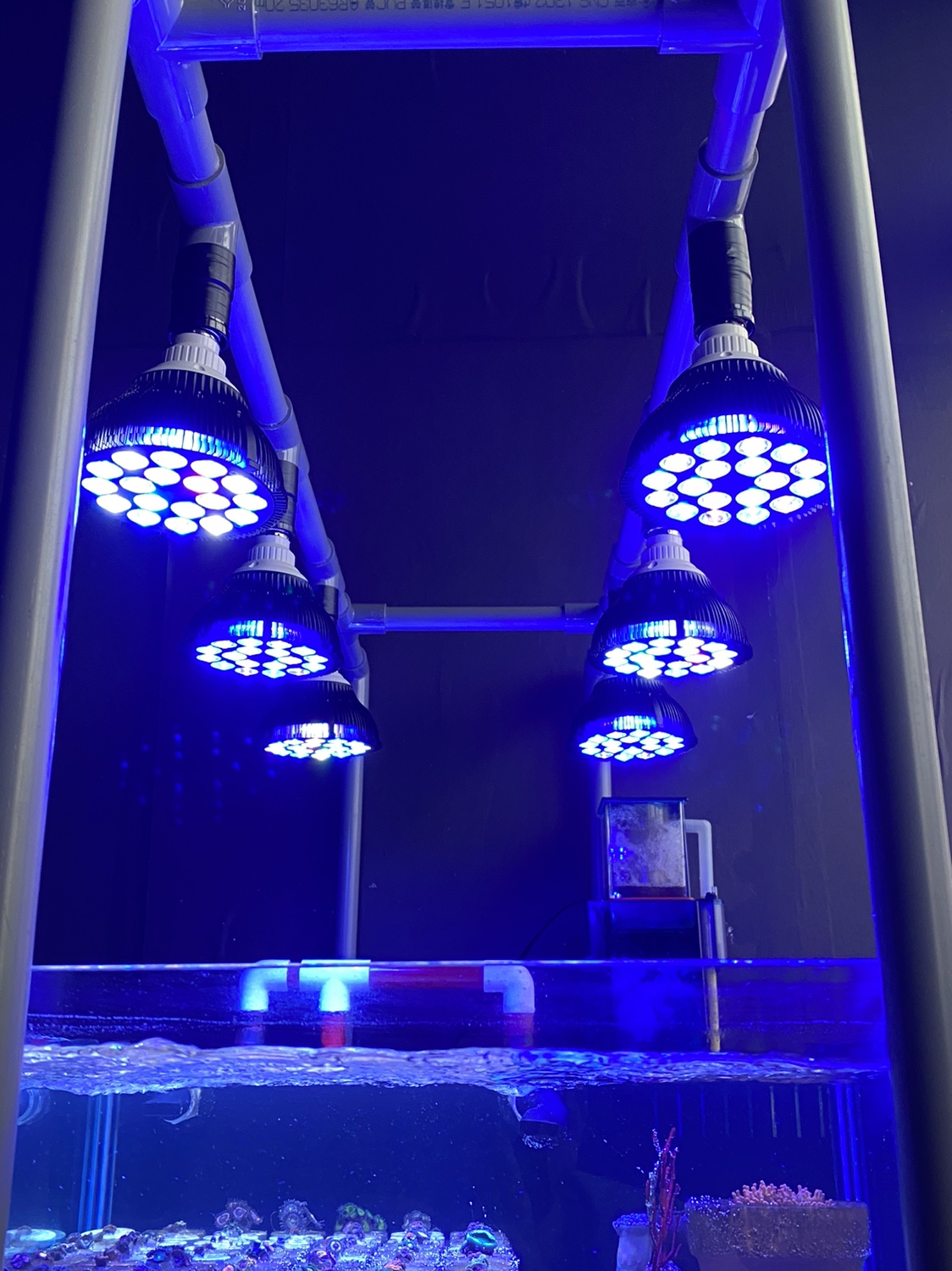 Aquarium Plant Growing - Full specturm LED Aquarium Reef Light