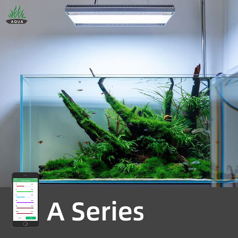 Aquarium Plant Growing - WEEK AQUA A430Pro LED Aquarium Light