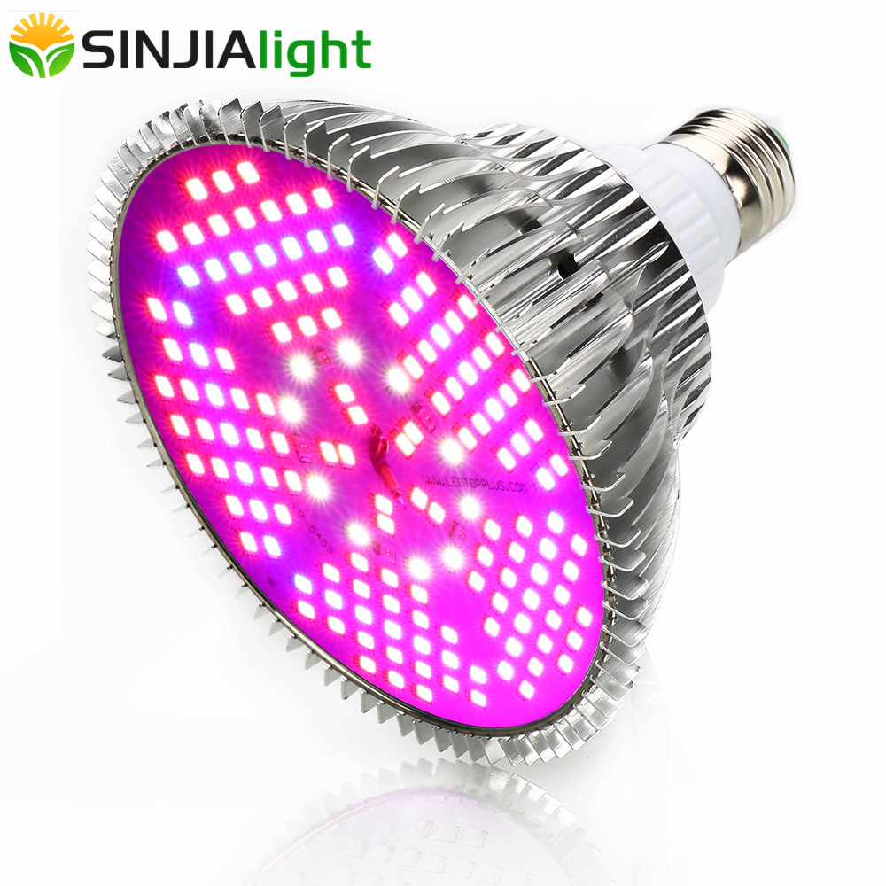 Aquarium Planted Seeds - 100W Full Spectrum LED Grow Light