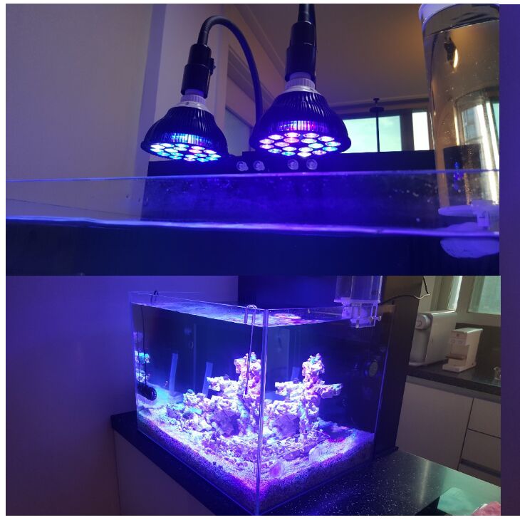 Aquarium Plant Growing - Free customize LED Aquarium light led