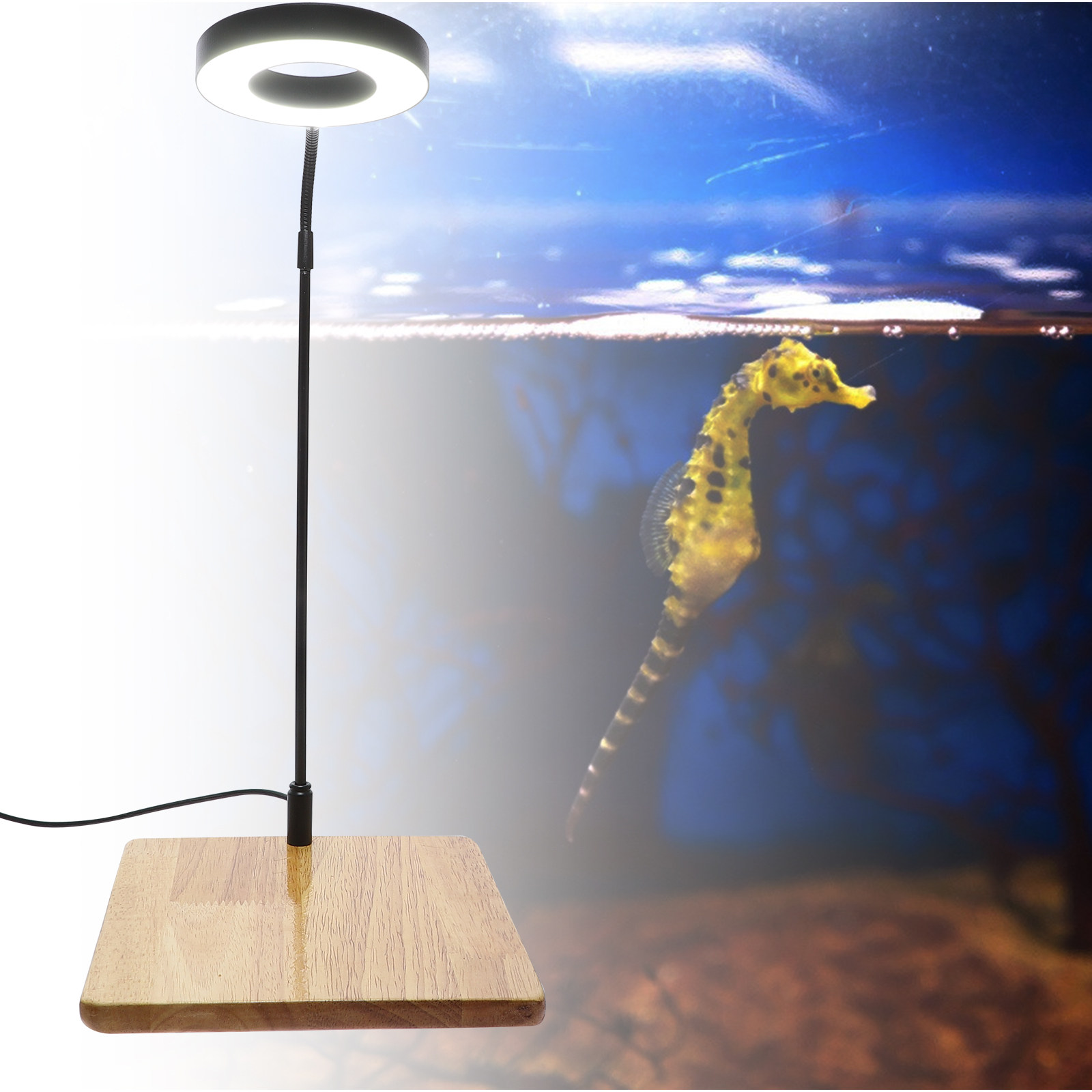 Aquarium Planting - 1Pcs Aquarium Fill Light High Brightness
