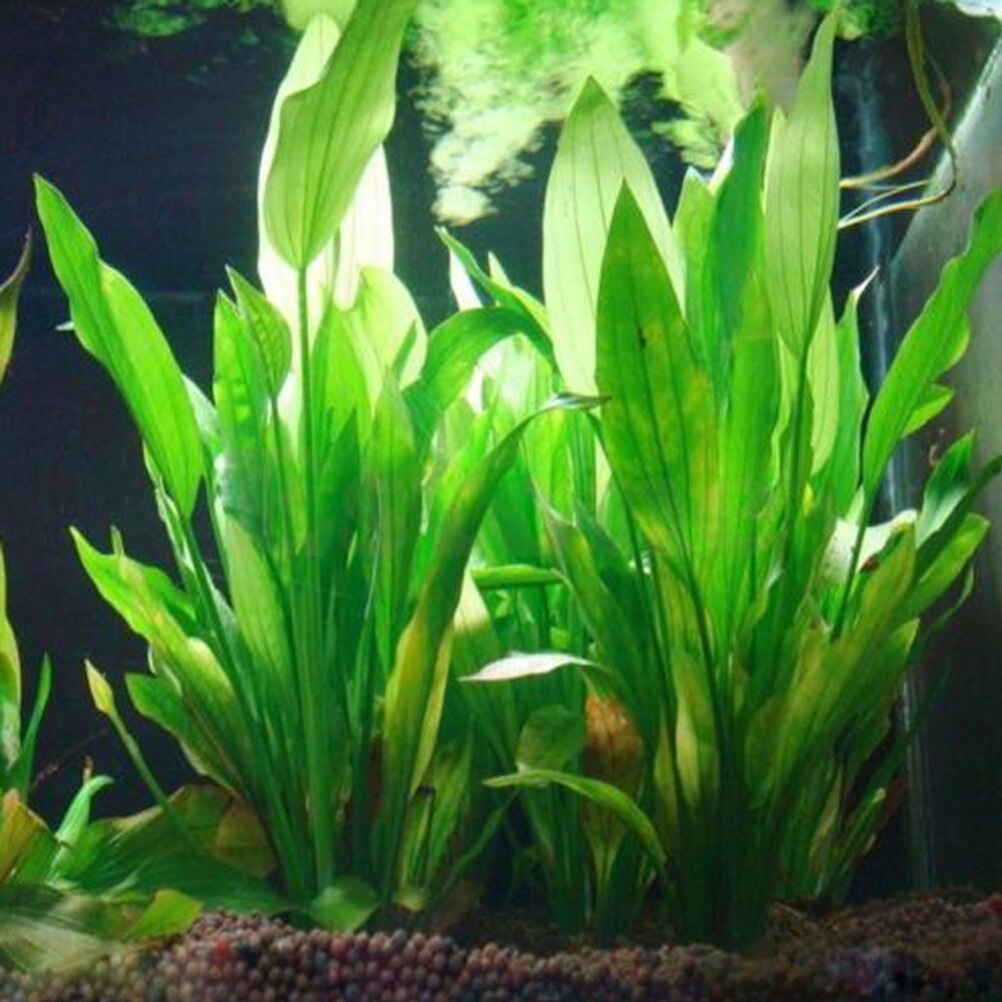 Aquarium Planted Seeds - 15cm Artificial Aquarium Decor Plants Water