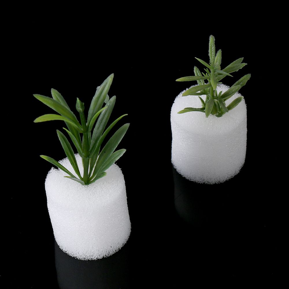 Aquarium Planted Seeds - 10/50pcs Durable Planting Aquarium Seed Trays