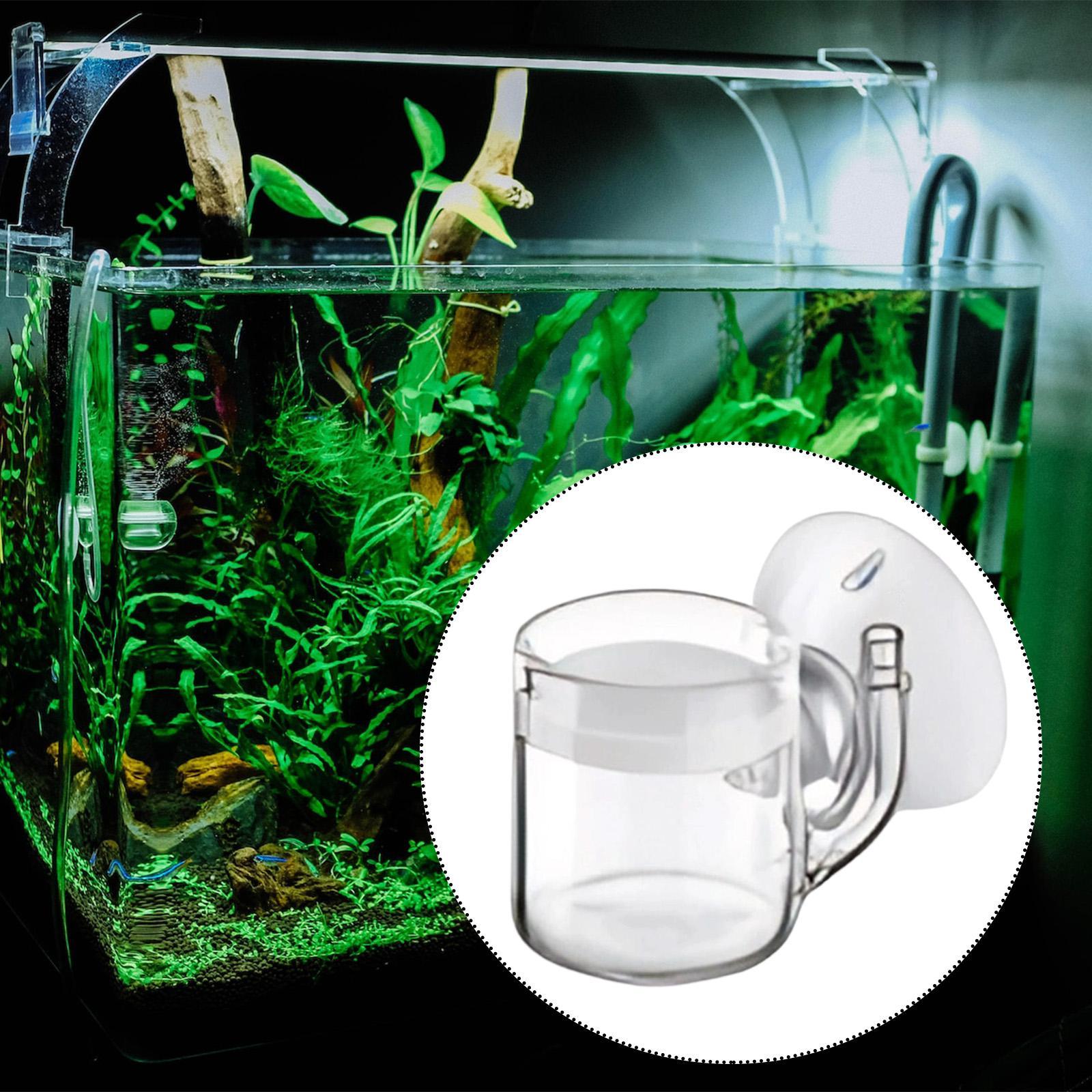 Aquarium Diffuser Glass CO2 Sy - مراجعة Planted Aquarium Equipment وسعره