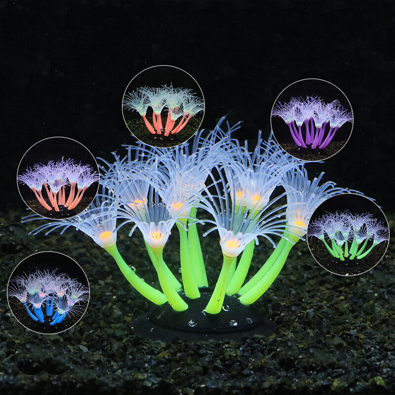 Silicone Glowing Landscape Art - مراجعة Aquarium Planted Substrate وسعره
