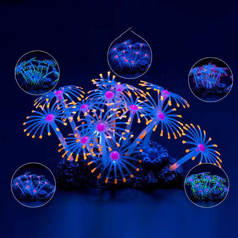 Silicone Glowing Landscape Art - مراجعة Aquarium Planted Substrate وسعره