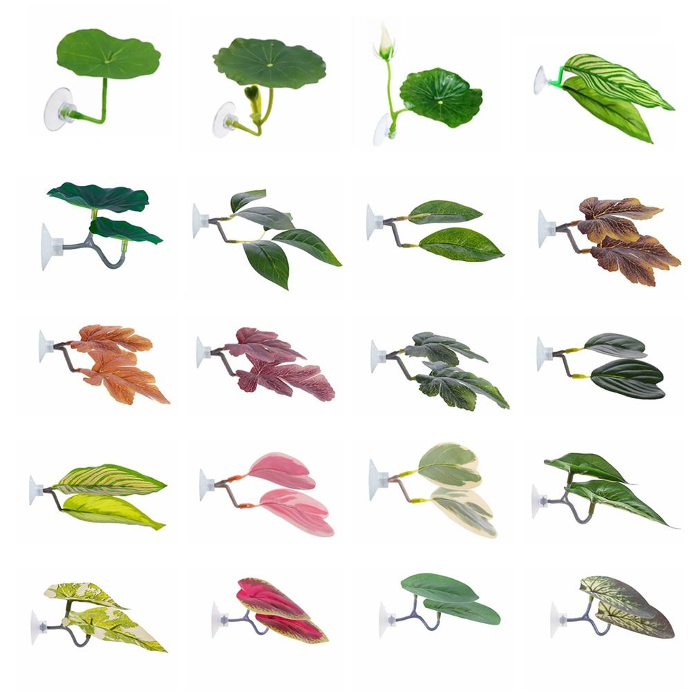 Plastic Betta Fish Rest Leaf S - مراجعة Aquarium Plant Growing وسعره