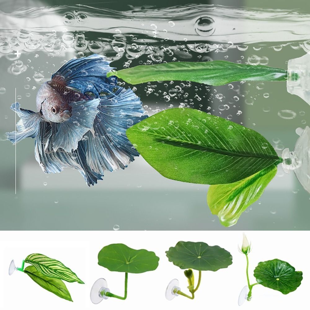 Plastic Betta Fish Rest Leaf S - مراجعة Aquarium Plant Growing وسعره
