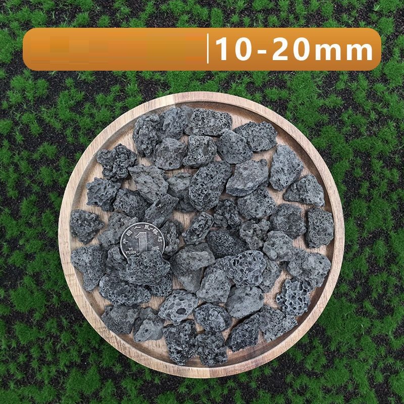 1kg Volcanic rock Aquarium Sub - مراجعة Aquarium Planted Seeds وسعره