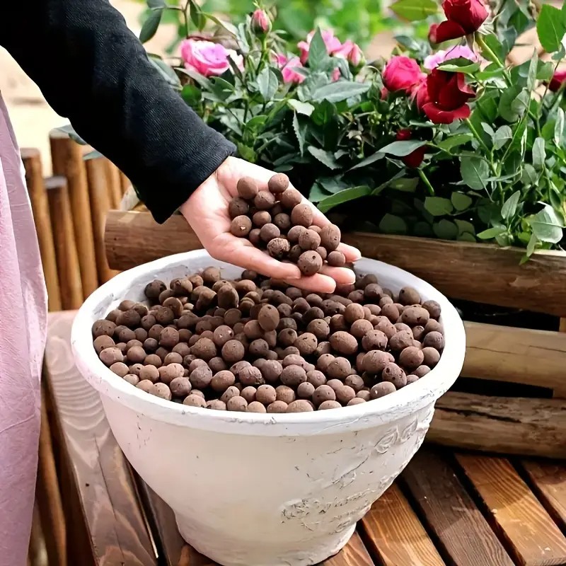 Lightweight & Breathable Terra - مراجعة Aquarium Planting وسعره