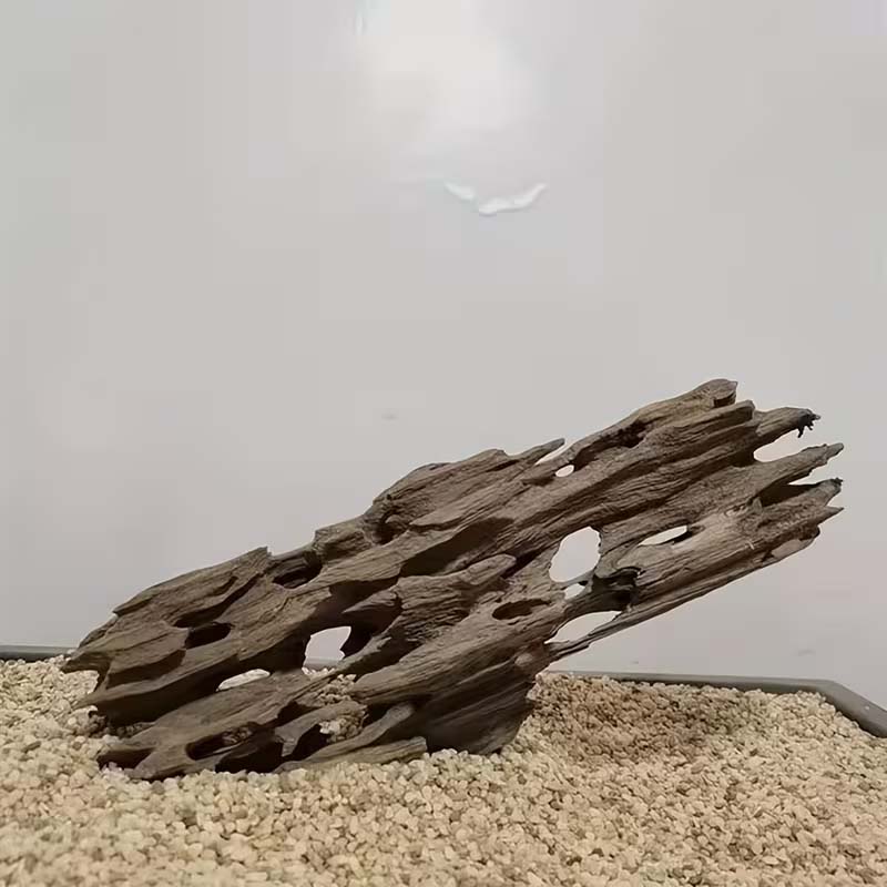 Shrimp Wood Aquarium Decor, Dr - مراجعة Aquarium Planted Seeds وسعره