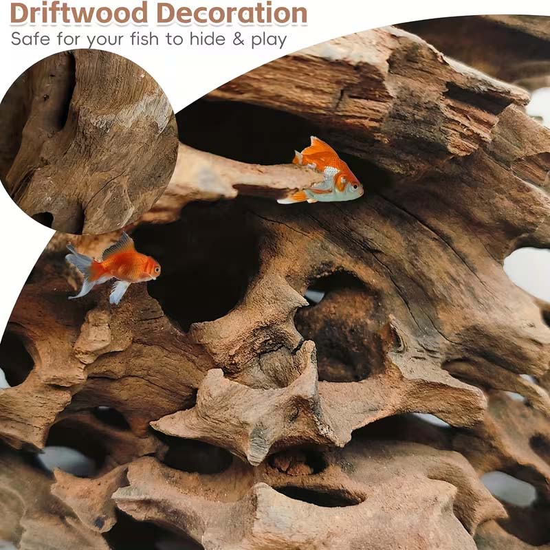 Shrimp Wood Aquarium Decor, Dr - مراجعة Aquarium Planted Seeds وسعره