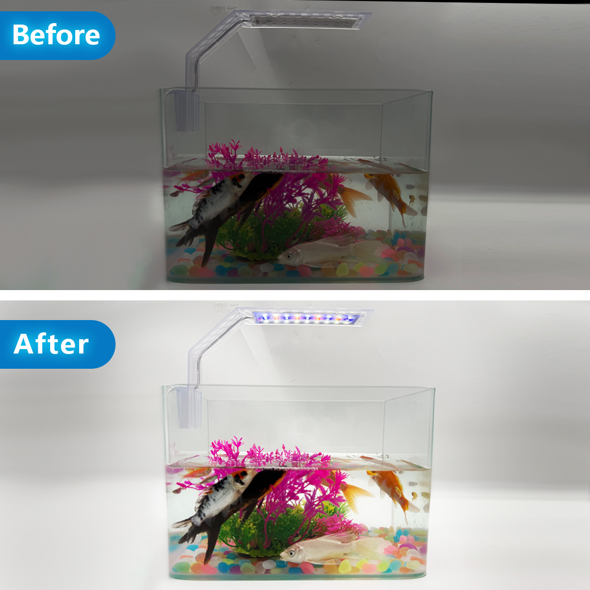 Super Slim LED Aquarium Light  - مراجعة Aquarium Plant Growing وسعره