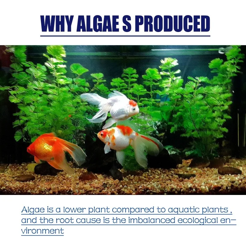 50g High Efficiency Algaecide  - مراجعة Planted Aquarium Equipment وسعره