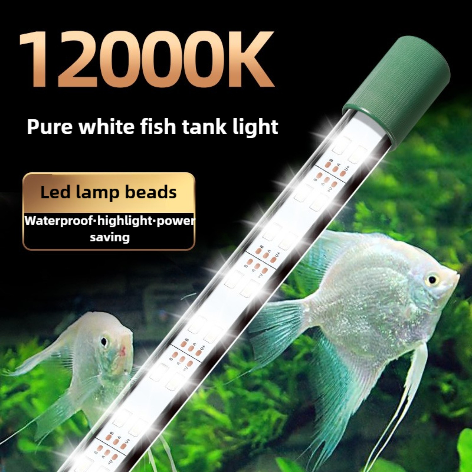 LED Aquarium Light Tube 25W Fi - مراجعة Planted Aquarium Freshwater وسعره