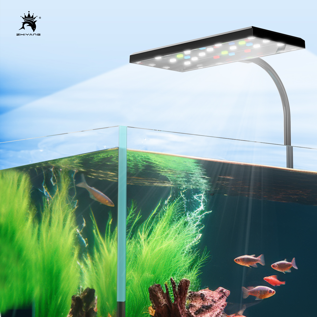 110-240V Aquarium Fish Tank Ba - مراجعة Aquarium Planted Seeds وسعره