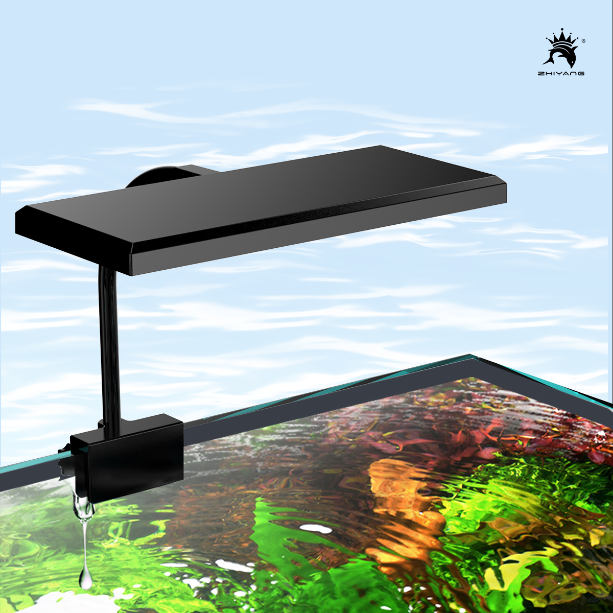 110-240V Aquarium Fish Tank Ba - مراجعة Aquarium Planted Seeds وسعره