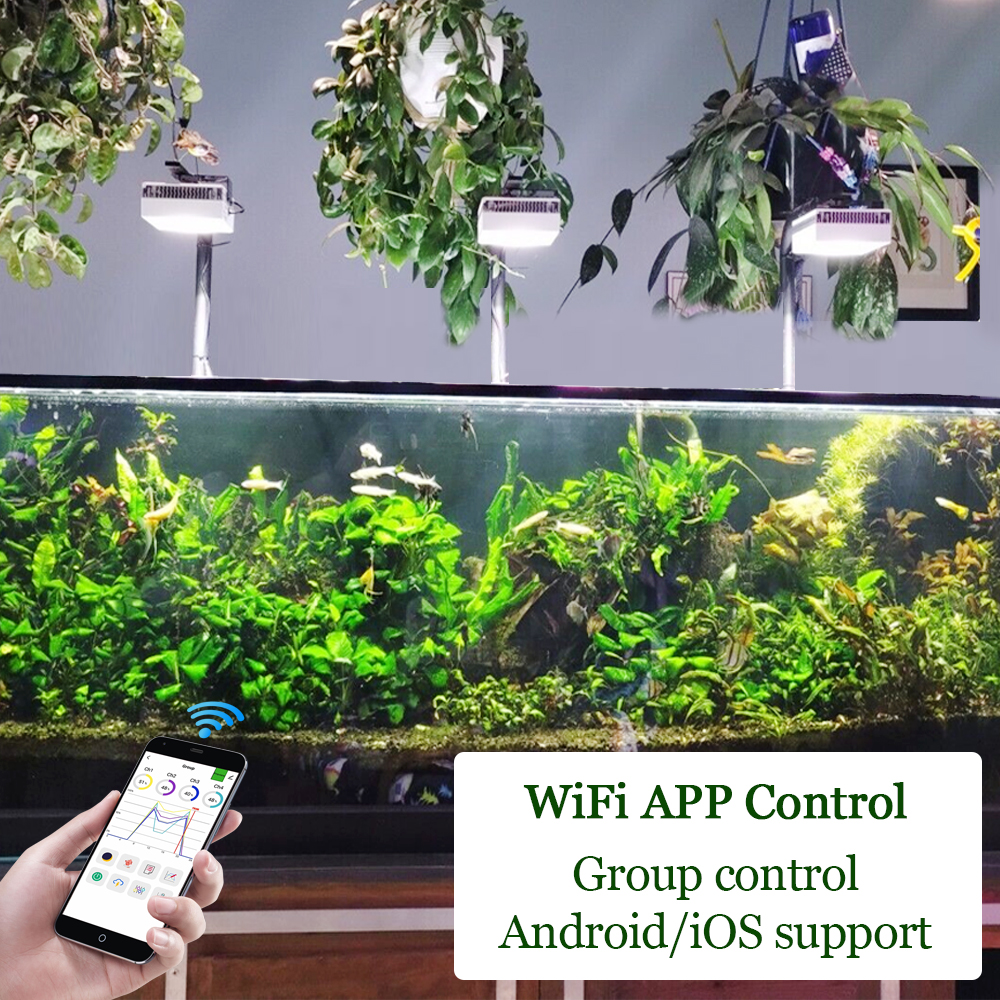 PopBloom Professional Planted  - مراجعة Planted Aquarium Freshwater وسعره