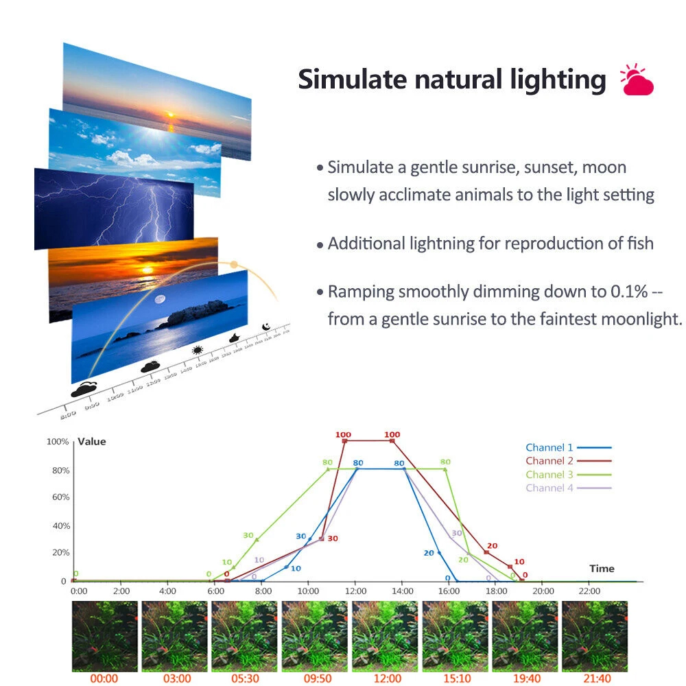 PopBloom Professional Planted  - مراجعة Planted Aquarium Freshwater وسعره