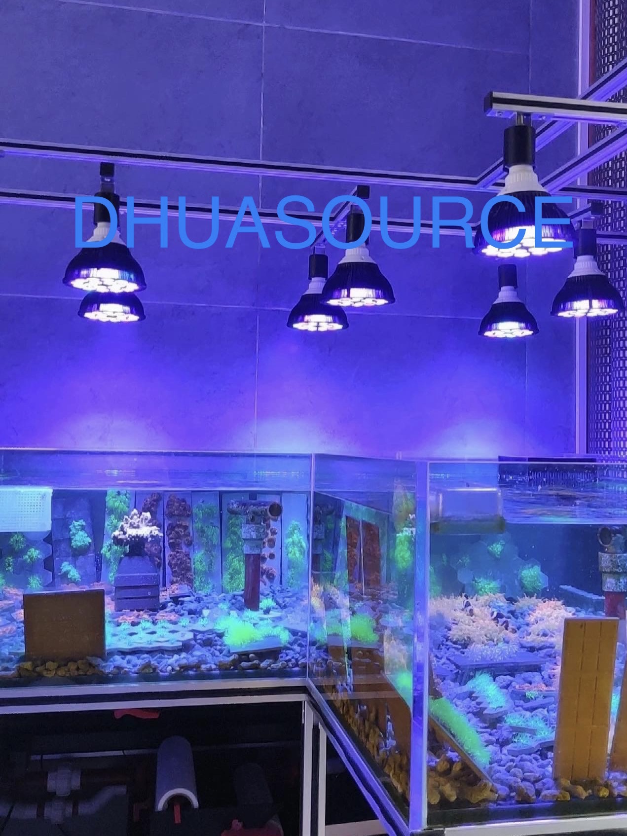 Full specturm LED Aquarium Ree - مراجعة Aquarium Plant Growing وسعره