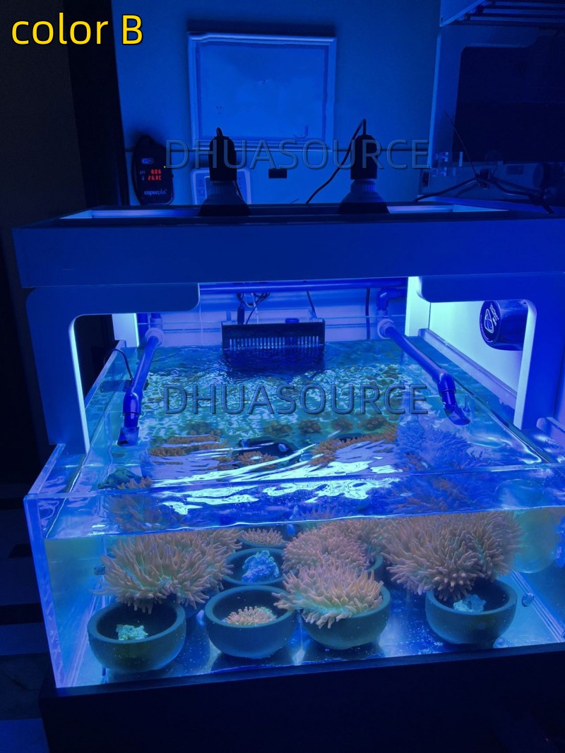 Full specturm LED Aquarium Ree - مراجعة Aquarium Plant Growing وسعره