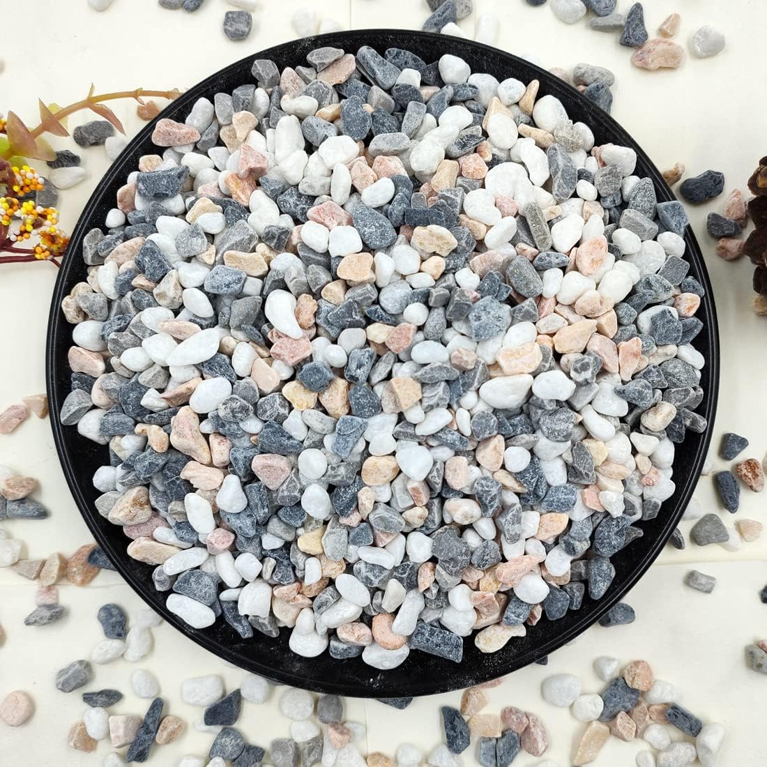 2LB Succulent Gravel Pebbles,  - مراجعة Aquarium Plant Gravel وسعره