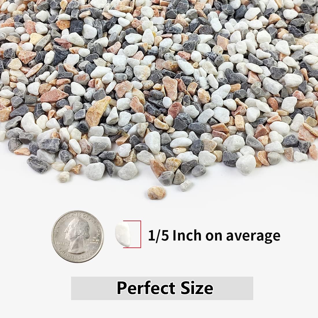 2LB Succulent Gravel Pebbles,  - مراجعة Aquarium Plant Gravel وسعره