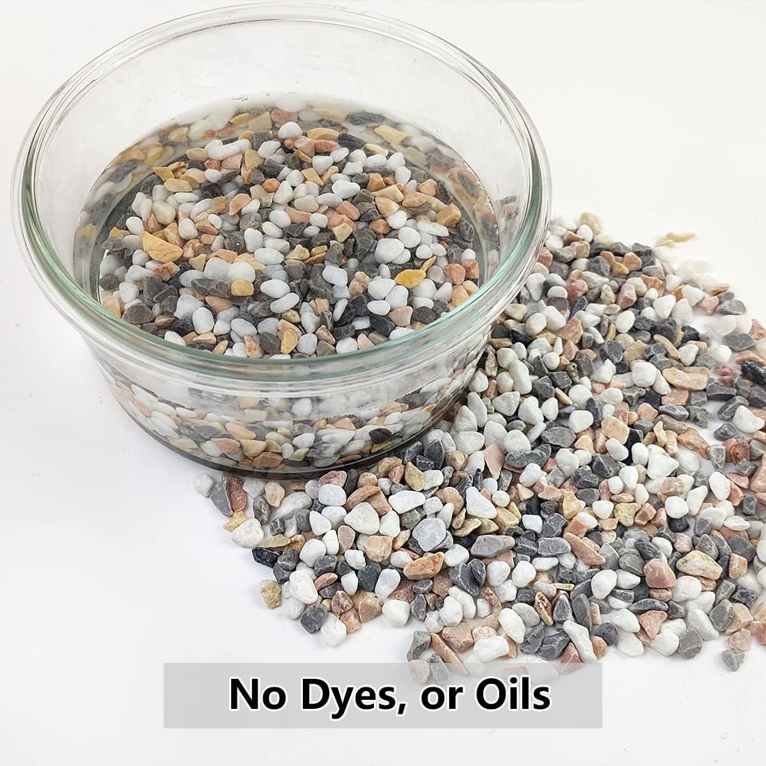 2LB Succulent Gravel Pebbles,  - مراجعة Aquarium Plant Gravel وسعره