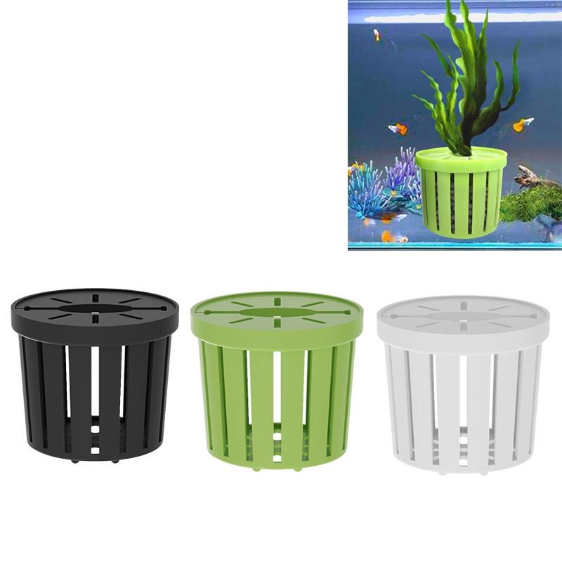 4Pcs Pet Fish Tank Landscaping - مراجعة Aquarium Planting وسعره