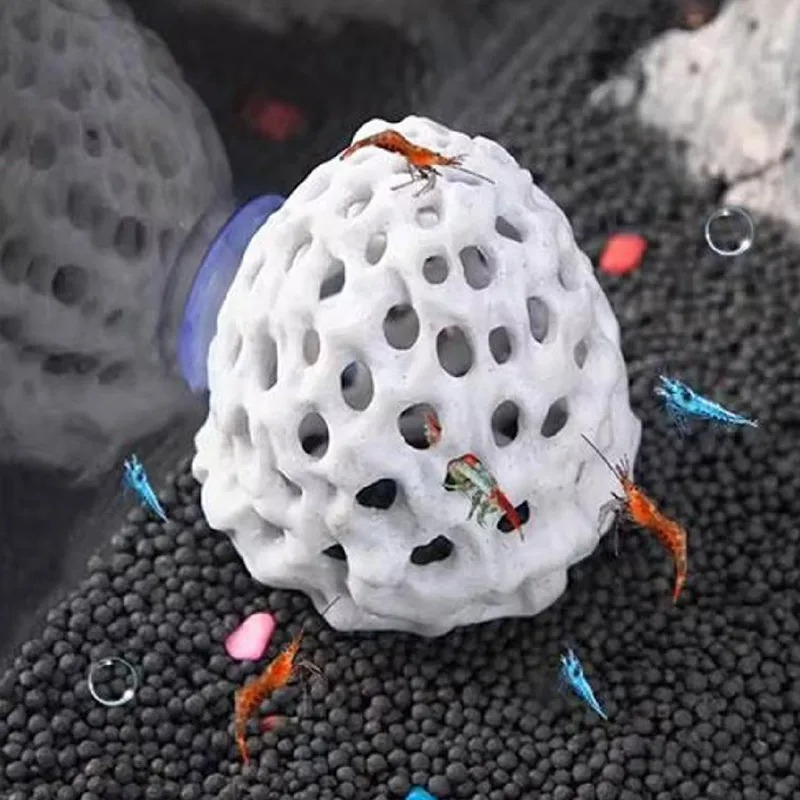 Shrimp Dome Hiding Habitat Aqu - مراجعة Aquarium Planted Seeds وسعره