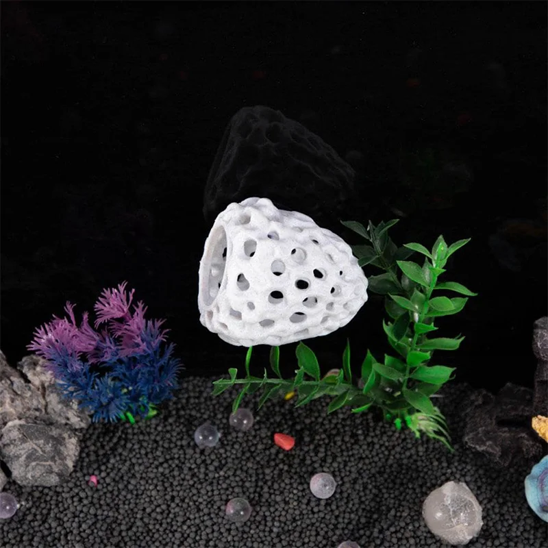 Shrimp Dome Hiding Habitat Aqu - مراجعة Aquarium Planted Seeds وسعره