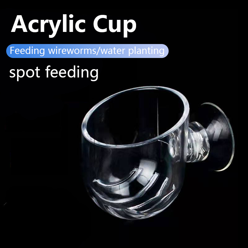 Aquarium Decoration Plant Cup  - مراجعة Aquarium Plant Utensils وسعره