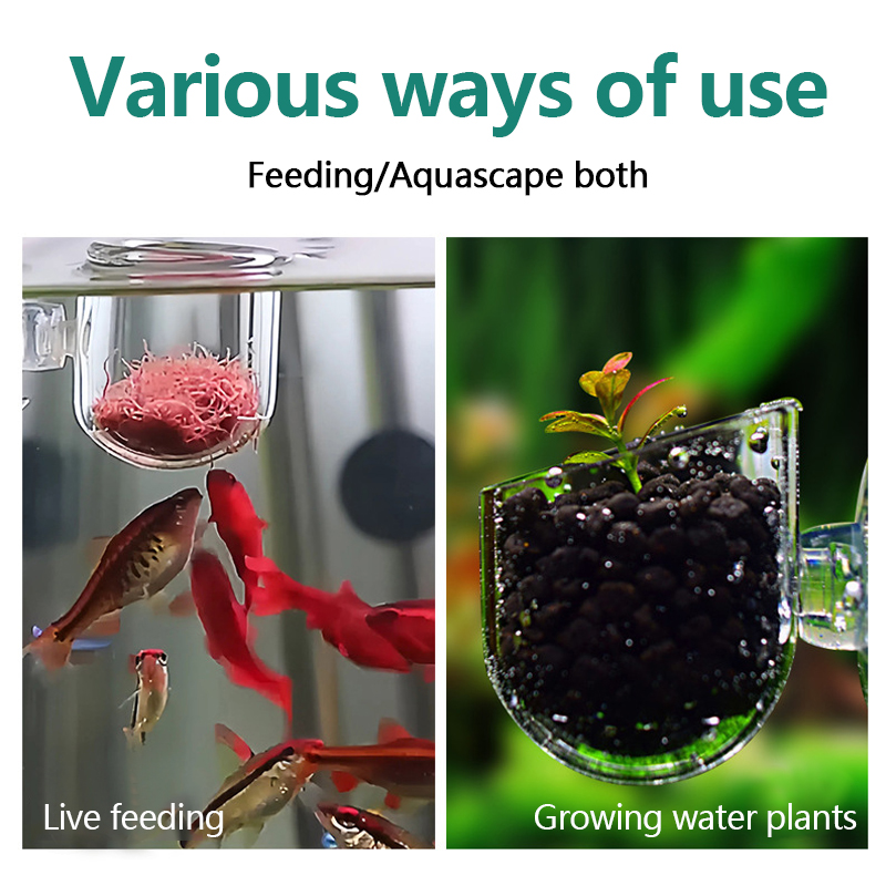 Aquarium Decoration Plant Cup  - مراجعة Aquarium Plant Utensils وسعره