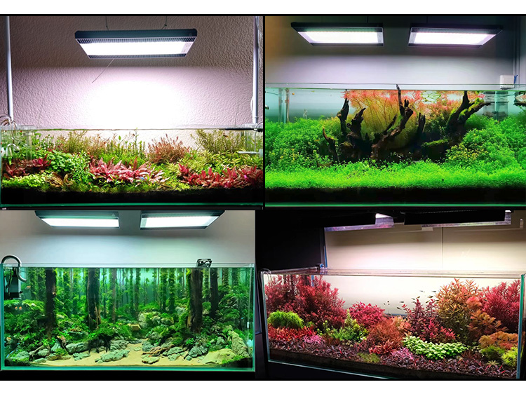 WEEK AQUA A430Pro LED Aquarium - مراجعة Aquarium Plant Growing وسعره