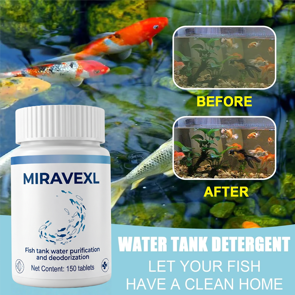 Aquarium Water Clarifying Tabl - مراجعة Planted Aquarium Cloudy Water وسعره