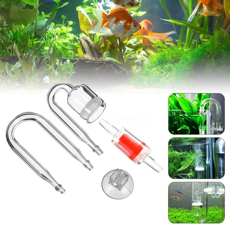 4pcs Set DIY CO2 Diffuser For  - مراجعة Aquarium Plant Echinodorus وسعره