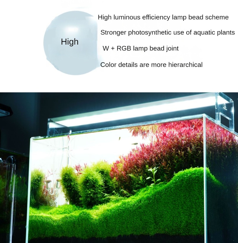 LED Light Aquarium Lighting Aq - مراجعة Planted Aquarium Freshwater وسعره
