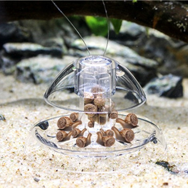 1PCS Fish Tank Aquarium Cleane - مراجعة Aquarium Plant Utensils وسعره