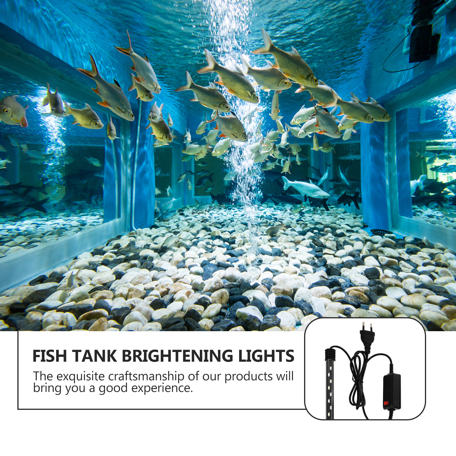 1Pcs Fish Tank LED Lamp Enhanc - مراجعة Aquarium Planting وسعره