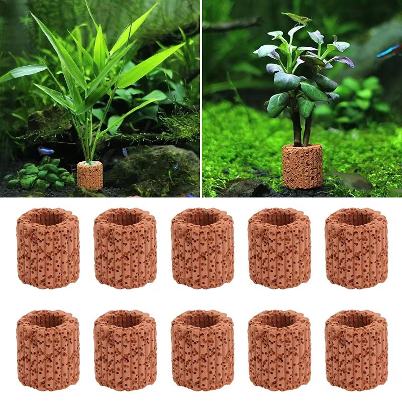 Aquatic Plant Fixed Ring for A - مراجعة Aquarium Plant Utensils وسعره