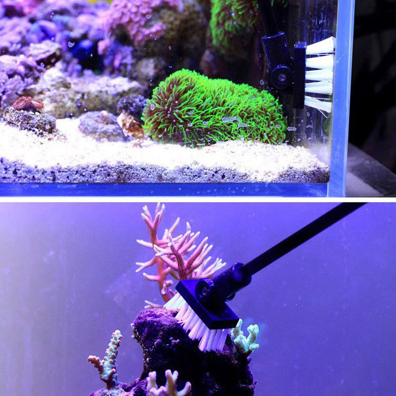 Fishing Cleaning Brush Plant T - مراجعة Aquarium Plant Utensils وسعره
