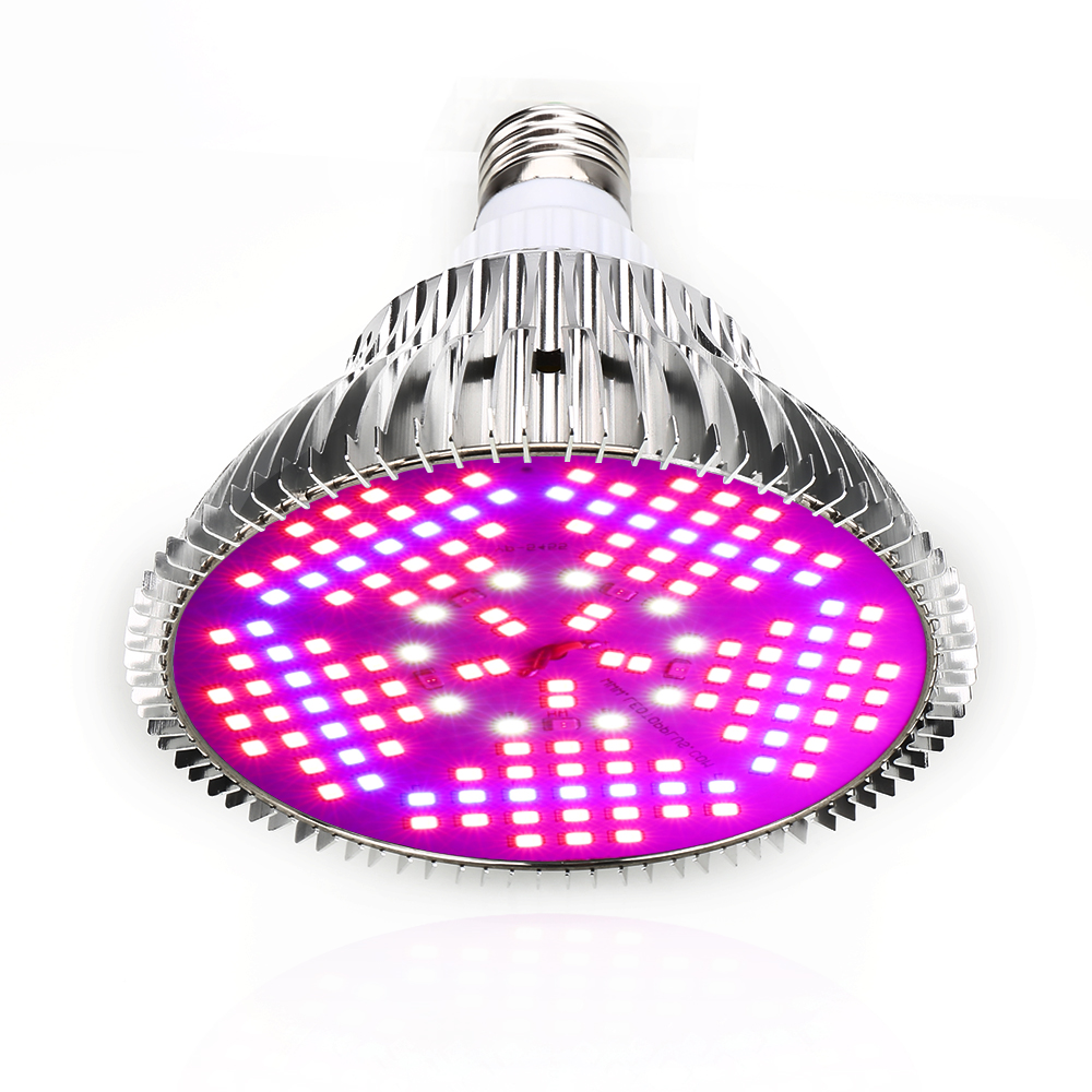 100W Full Spectrum LED Grow Li - مراجعة Aquarium Planted Seeds وسعره