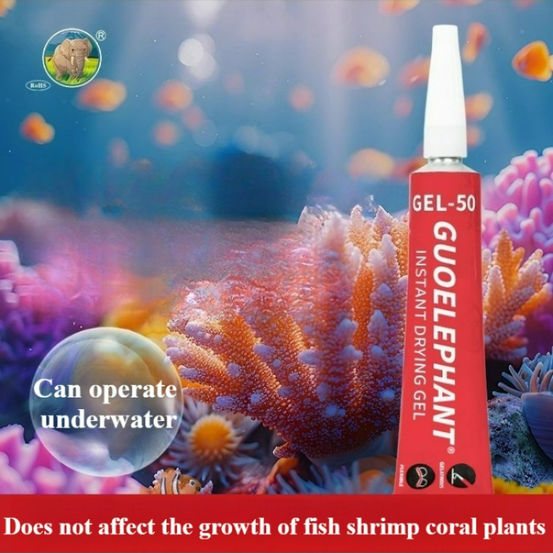 SPS LPS Coral Reef Frags Plug  - مراجعة Aquarium Plant Glue Gel وسعره