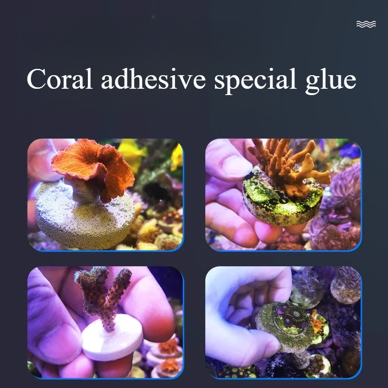 SPS LPS Coral Reef Frags Plug  - مراجعة Aquarium Plant Glue Gel وسعره