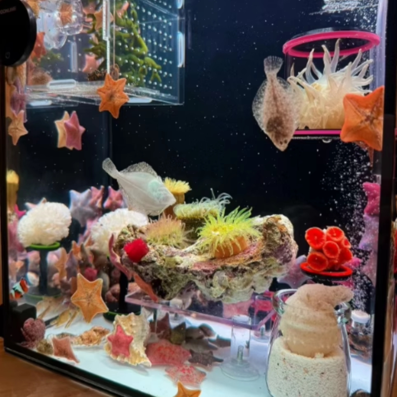 SPS LPS Coral Reef Frags Plug  - مراجعة Aquarium Plant Glue Gel وسعره