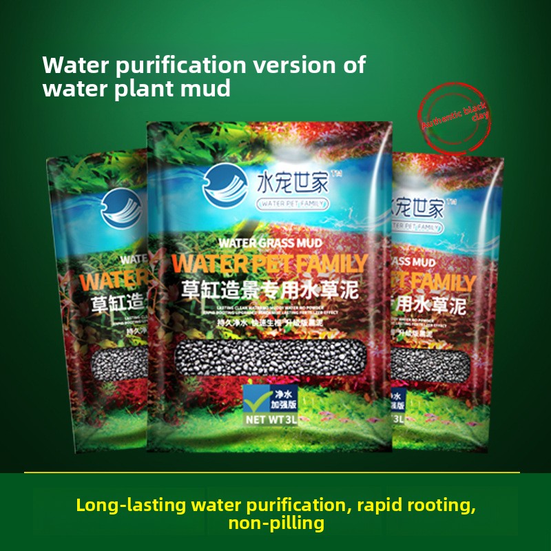 SYSENCIAGA Planted Aquarium Su - مراجعة Aquarium Planted Seeds وسعره