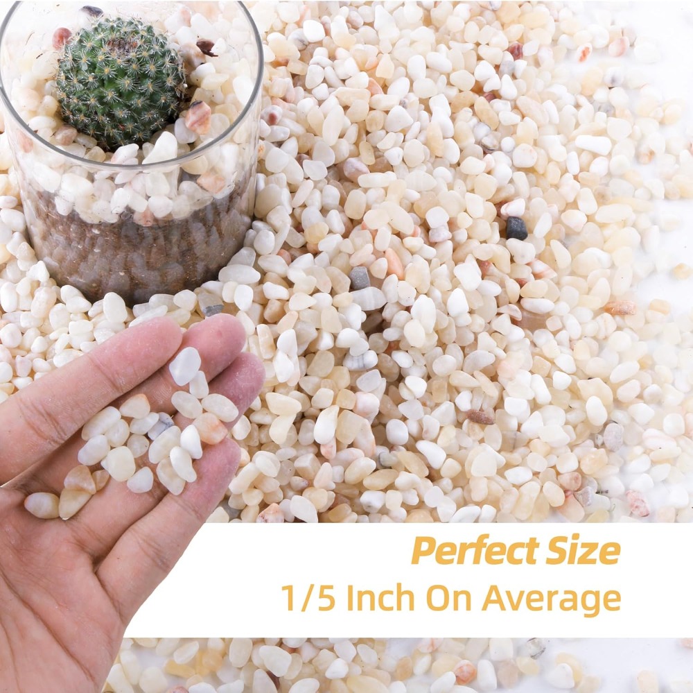 2.4lb Natural River Rocks for  - مراجعة Aquarium Plant Gravel وسعره