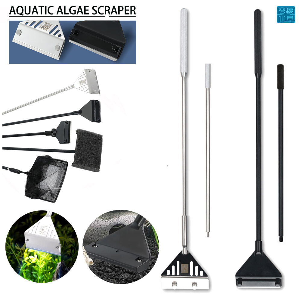 Stainless Steel Aquarium Fish  - مراجعة Aquarium Plant Utensils وسعره