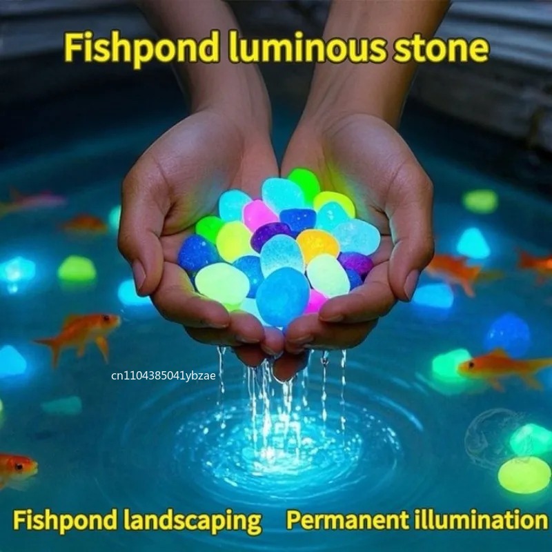 100-800pcs Glow in The Dark Pe - مراجعة Aquarium Planting وسعره