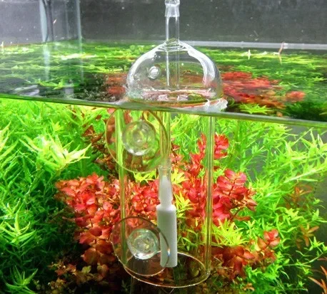 VIV Do Device Aquarium Cylinde - مراجعة Planted Aquarium Equipment وسعره